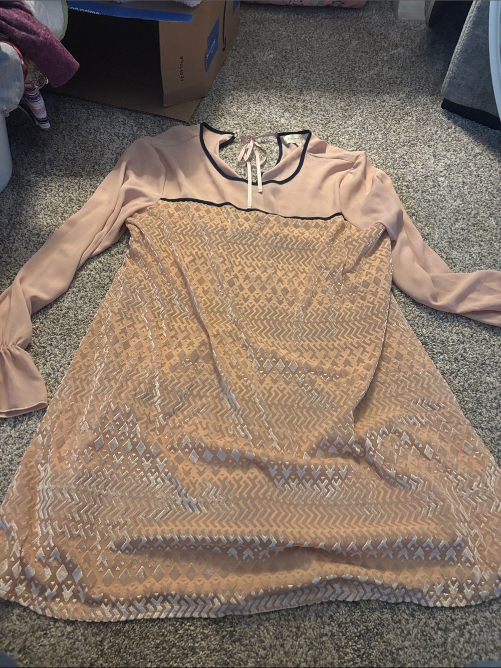 Blush Pink Lace Overlay Long Sleeve Dress